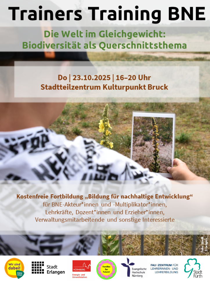 Trainers Training BNE